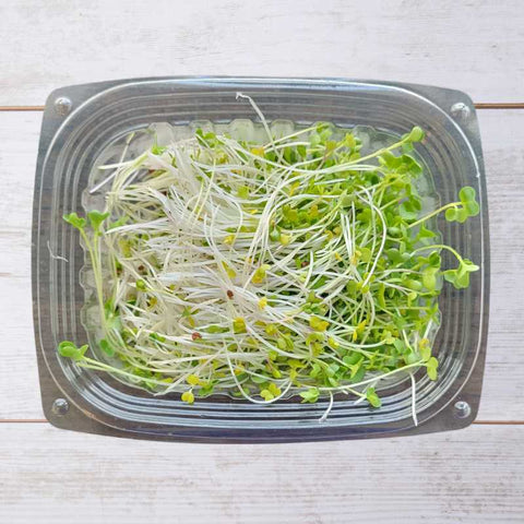Microgreens Spicy Salad Mix - Local (1.25 oz)