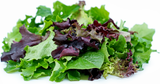 Spring Mix Organic (5oz Clamshell)